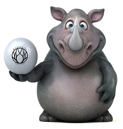 Gracehill Rhino’s