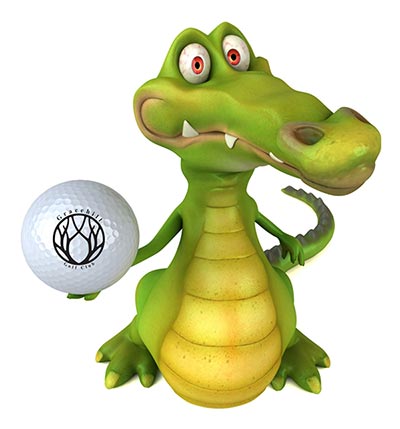 Gracehill Gator’s